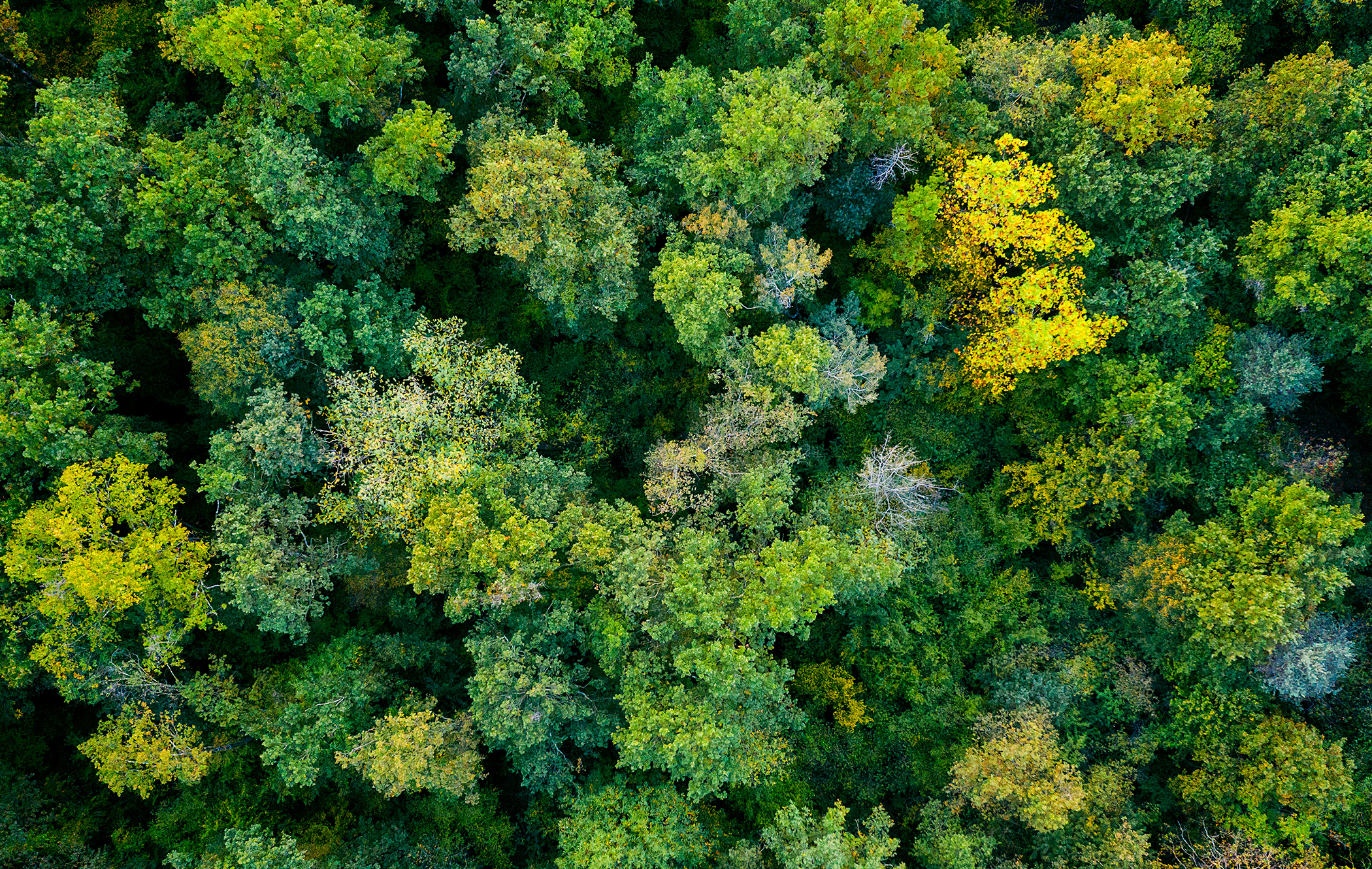 Our strategic approach to sustainability